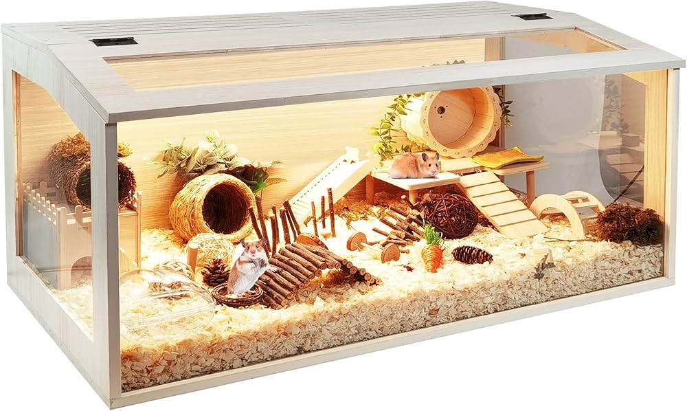 🐹 راهنمای کامل نگهداری همستر – از صفر تا صد برای صاحبان تازه‌کار و حرفه‌ای