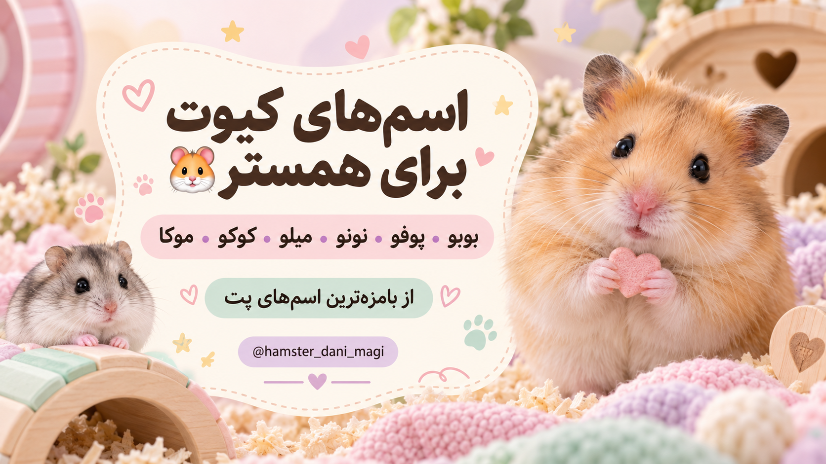 🎀 اسم‌های خاص و کیوت و بامزه برای همستر دوست‌داشتنی🐹