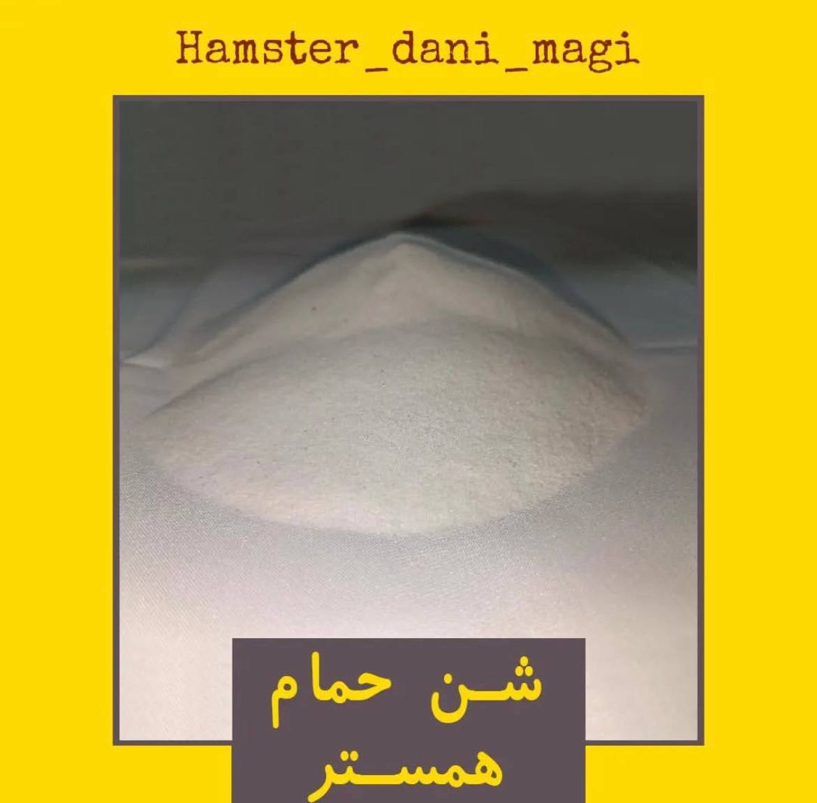شن حمام همستر و چین چیلا